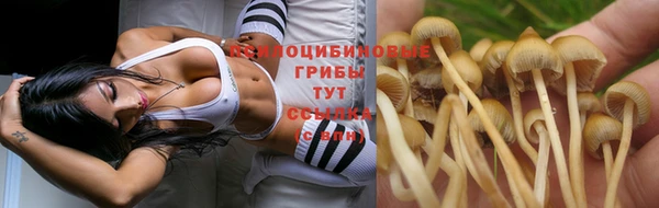 spice Абдулино